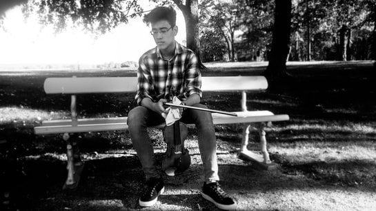 Picture